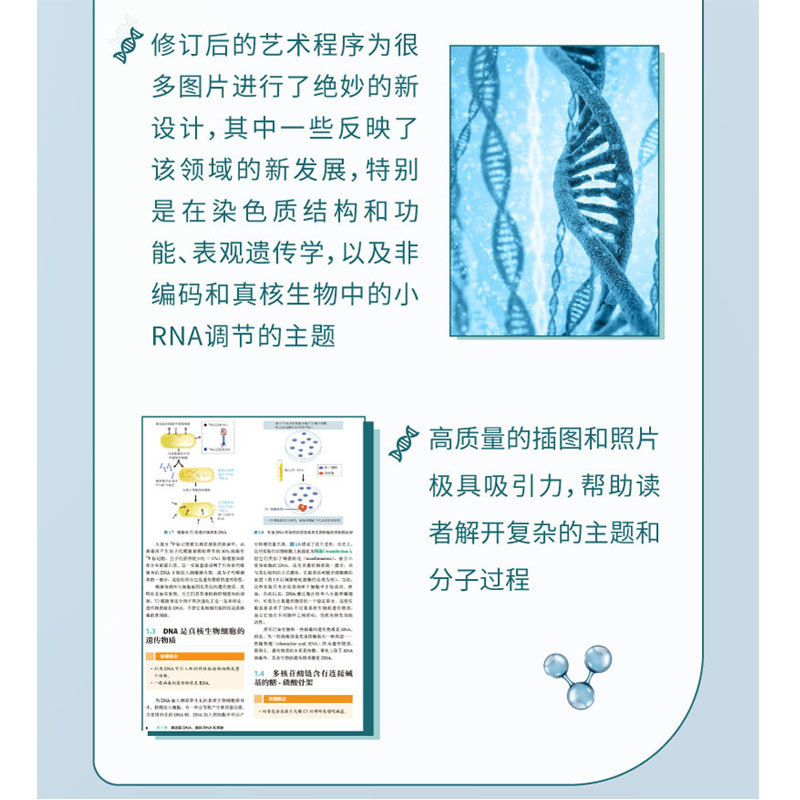 现货【2021新版】Lewin基因XII分子生物学分子遗传学经典名著Lewin基因xii12自然科学生物科学微生物基因书籍生命科学名著丛书